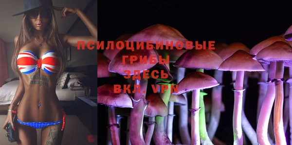 крисы Алексин