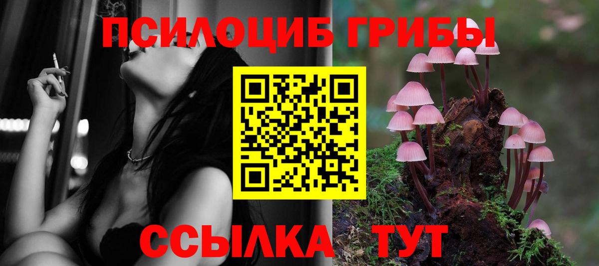 Псилоцибиновые грибы ЛСД Михайловск